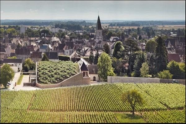 Burgundy Uncorked: The Art of Blind Tasting