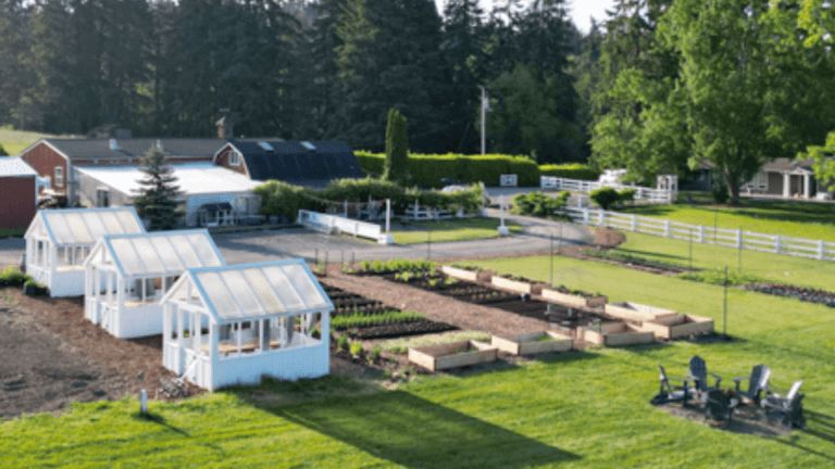Blush & Bubbles Festival at Middleground Farm