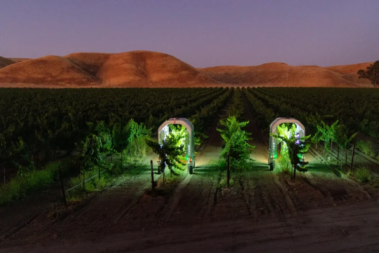 saga-night-vineyard-robots-SM