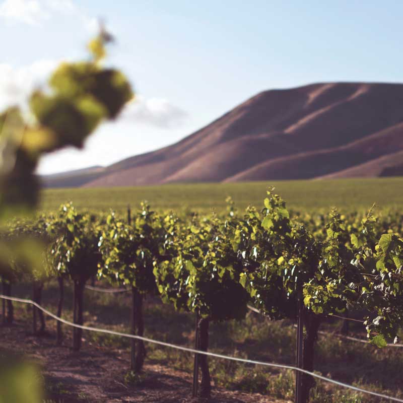 globalwinebank.com