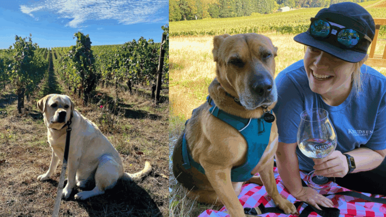 Tailgate: a dog friendly hike & tasting
