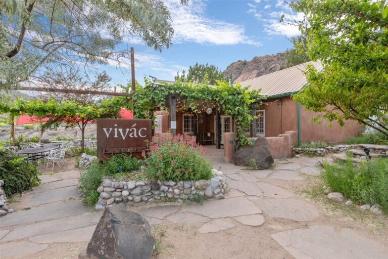 Vivac Winery_2966169889885974859