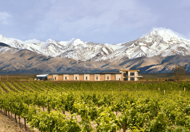 Domaine-Bousquet-MontajeBodega_HORIZONTAL-01_8