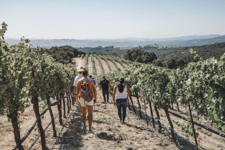 USA Today Best Wine Tour Company - Toast Tours Paso Robles CA