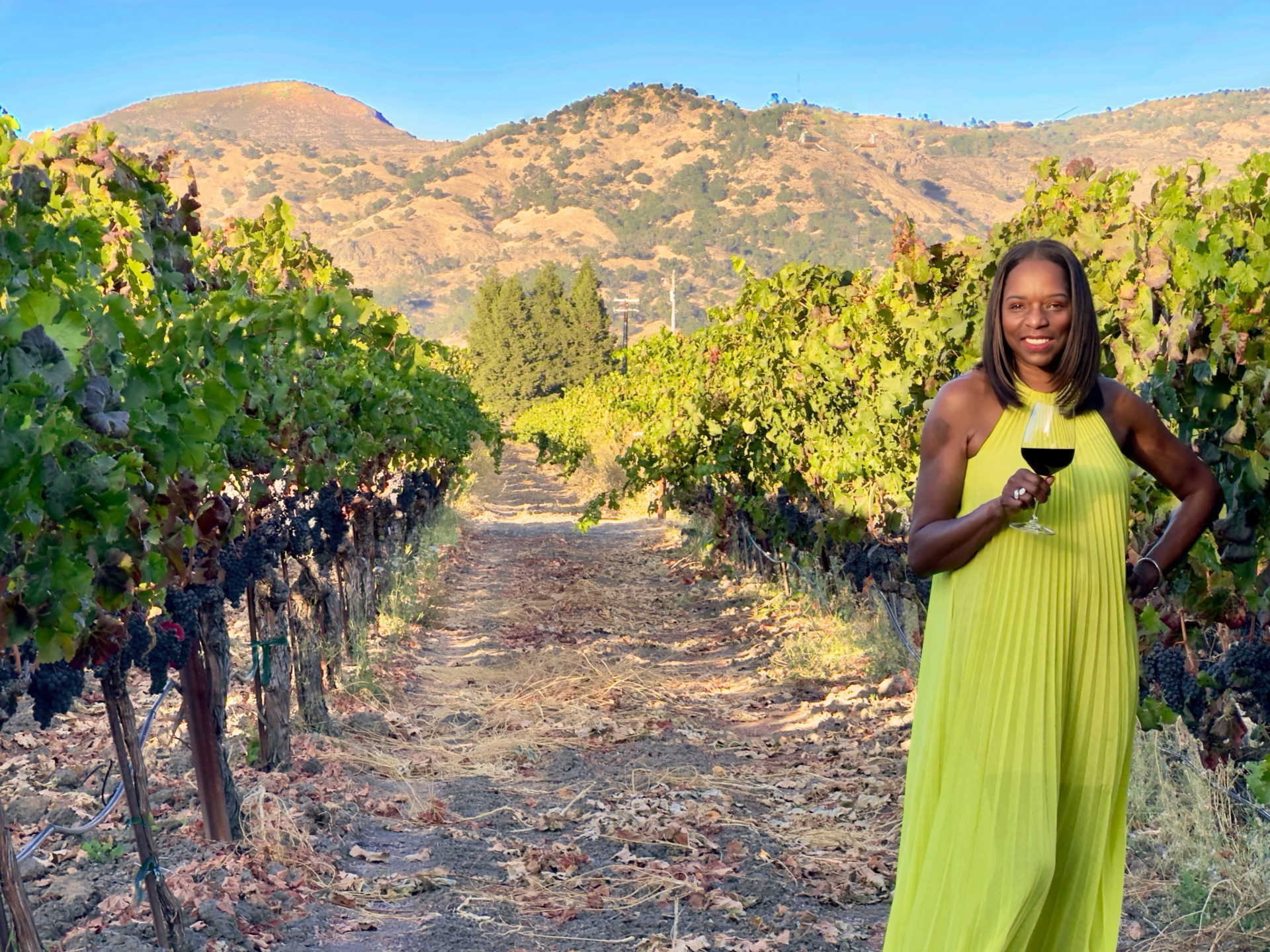 Kelly E. Carter, Founder Napa Valley Noir
