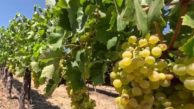 kcra.com