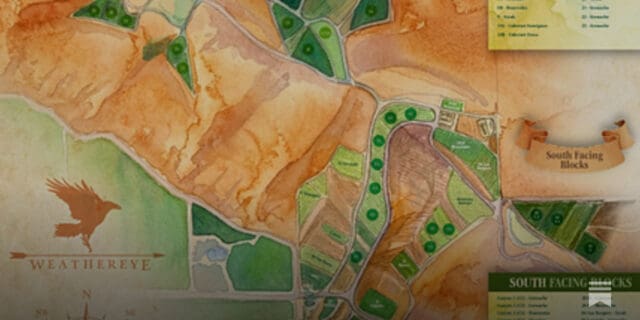 What Is The Mysterious ‘It Factor’ of Great Vineyards? A Theory… by ​Editor