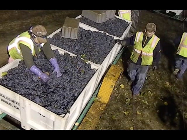 📺Short Pour Video Special Harvest Worker Tribute 2026 by ​Editor
