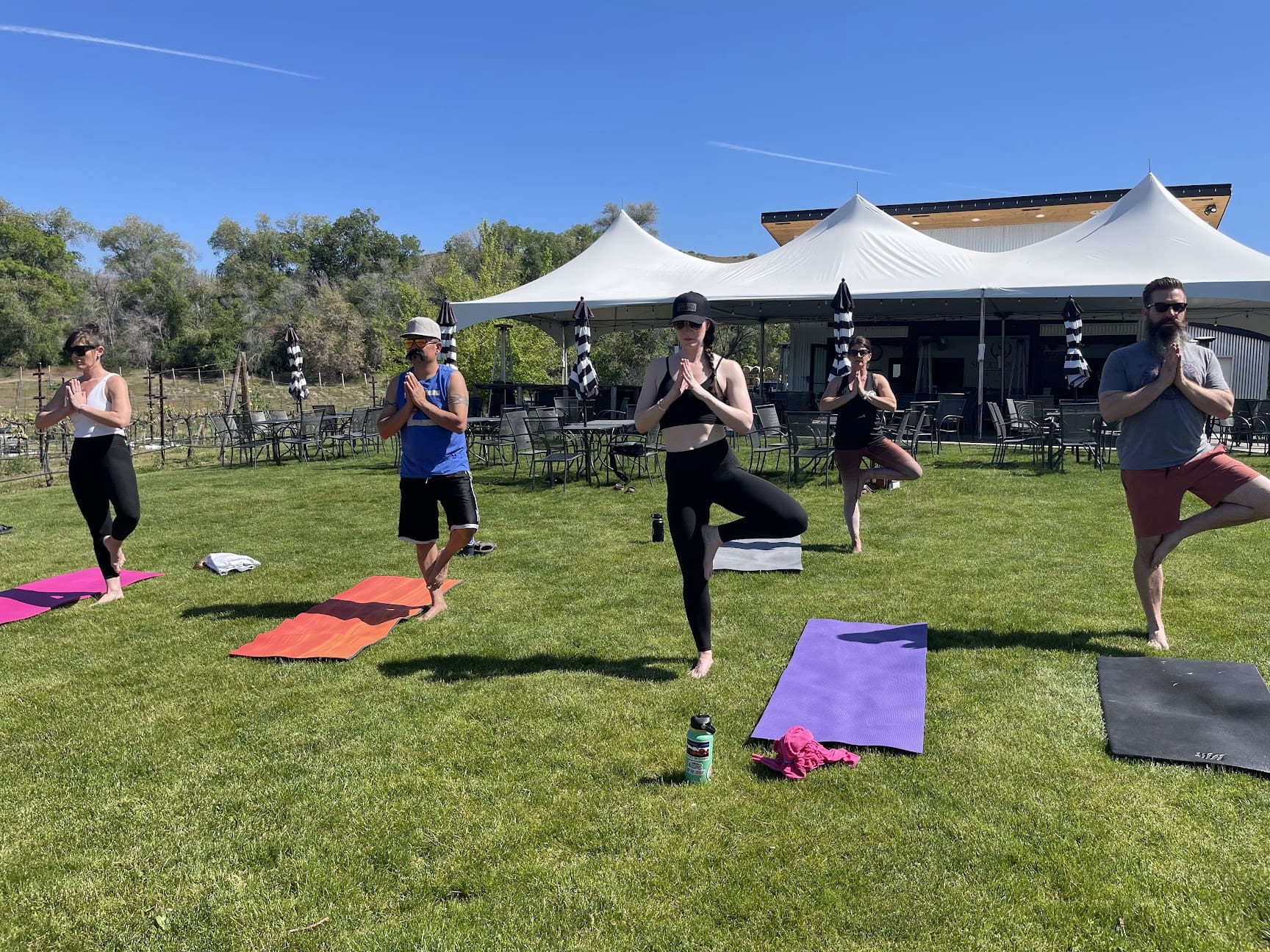 Yoga + Wine at Succession Wines