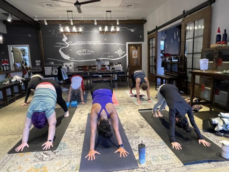 Yoga + Wine at Evergreen Family Wines