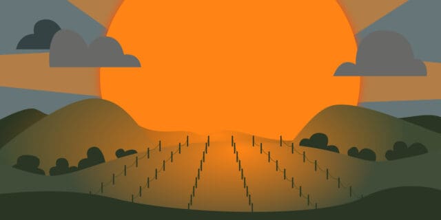 vinepair.com
