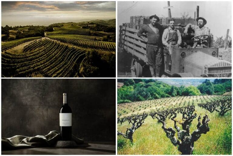 A Century on Mount Veeder The Brandlin Estate Vineyard Turns 100_image001
