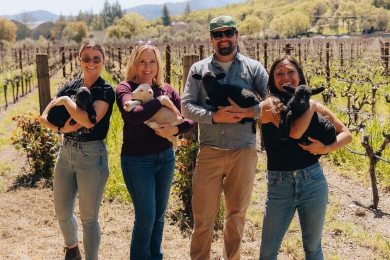 napa-green-team-with-lambs