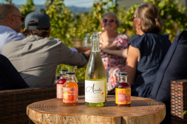 Anaba_Wines_Alcohol_Removed_Albarino_DR5B0852_Steven-Krause-Photography