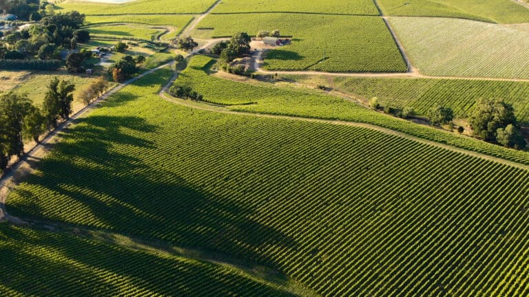Aerial,View,Of,Vineyard,Valley,In,Napa,,California