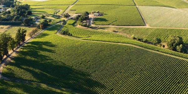 Wine Industry Network