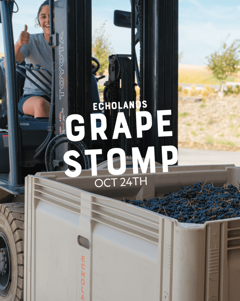 Grape Stomp @ Echolands