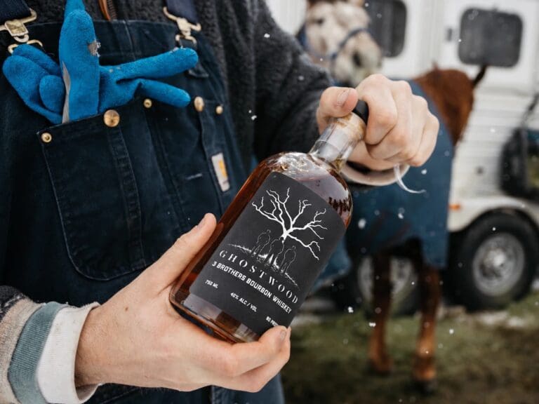3brothers_lifestyle_horse_snow