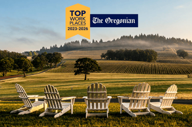 Stoller Family Estate Vineyard View with Classic Adirondack Chairs at Sunrise