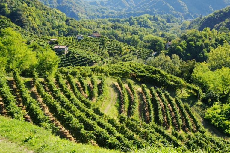 LA FARRA - Conegliano Valdobbiadene hills 3
