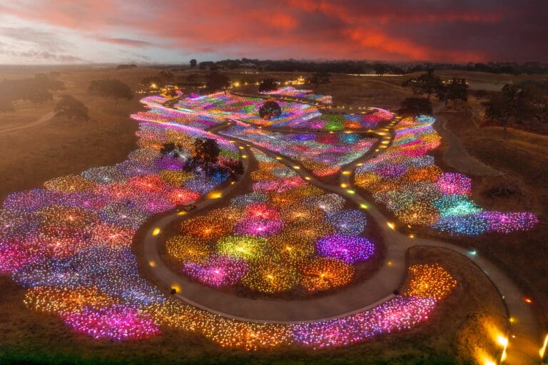 Sensorio Field of Light (credit Chris P)jpg
