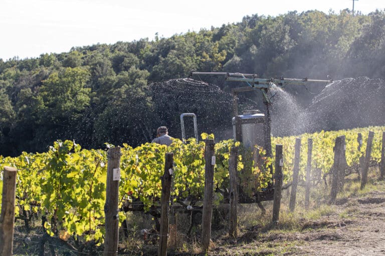 Caiarossa - Biodynamic preparation 500