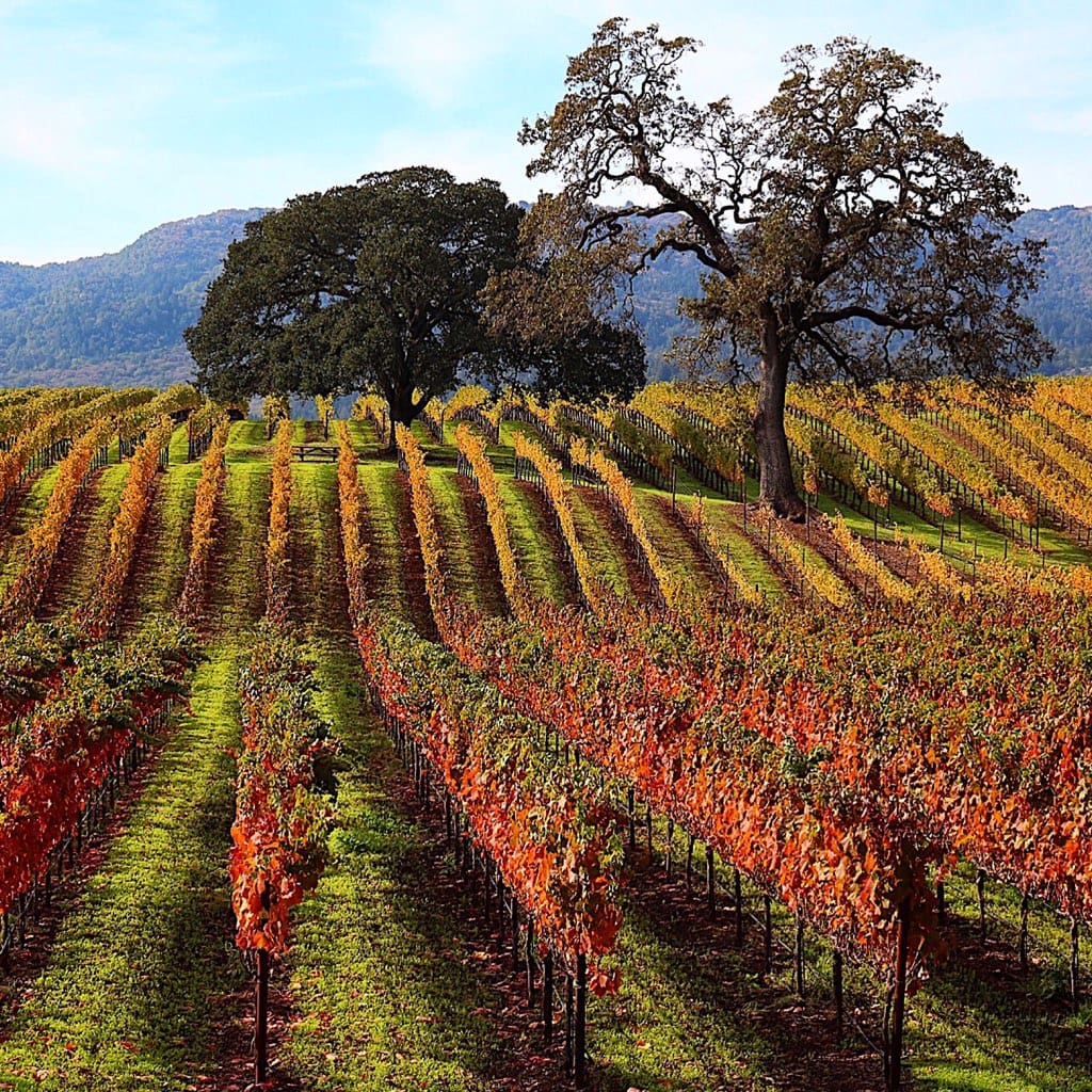 globalwinebank.com