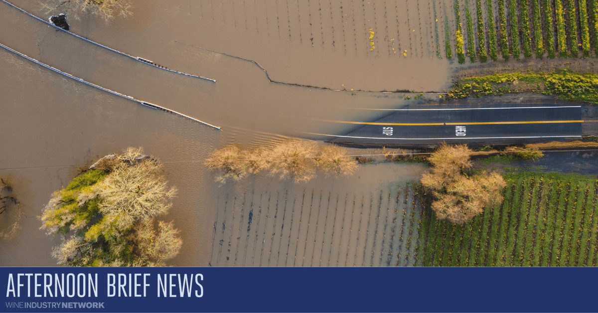 Afternoon Brief: A Gigantic El Niño Is Coming. Should California Winegrowers Be Worried?