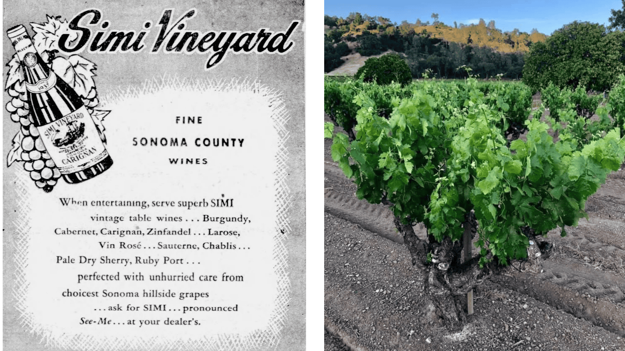 sonomawinegrape.org