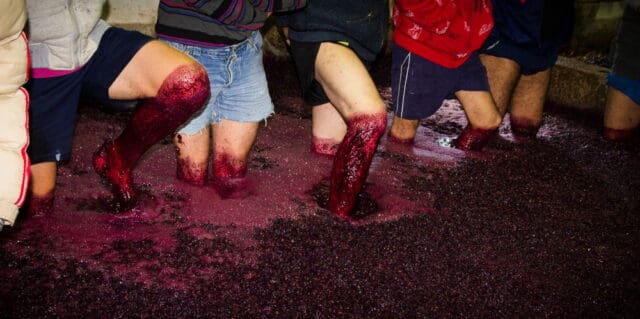 Rediscovering “Portuguese Wine,” Rooted in Tradition by ​Editor